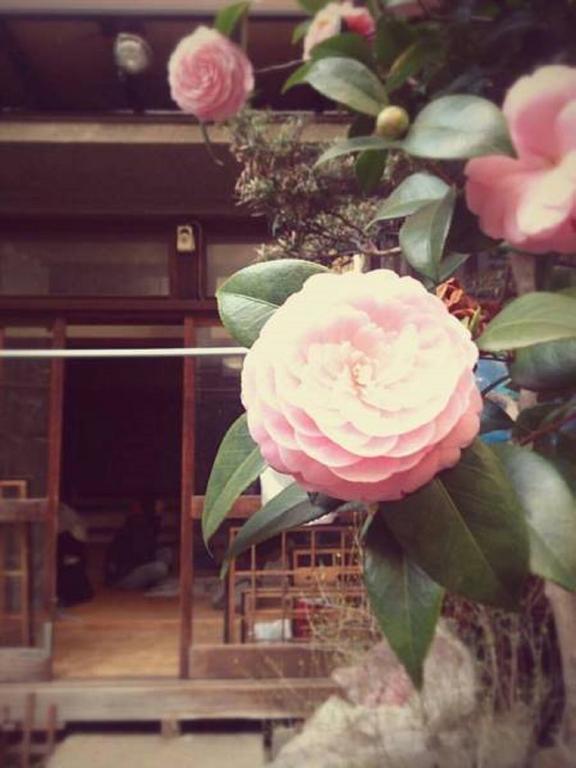 Gomaharu Guesthouse 大阪 外观 照片